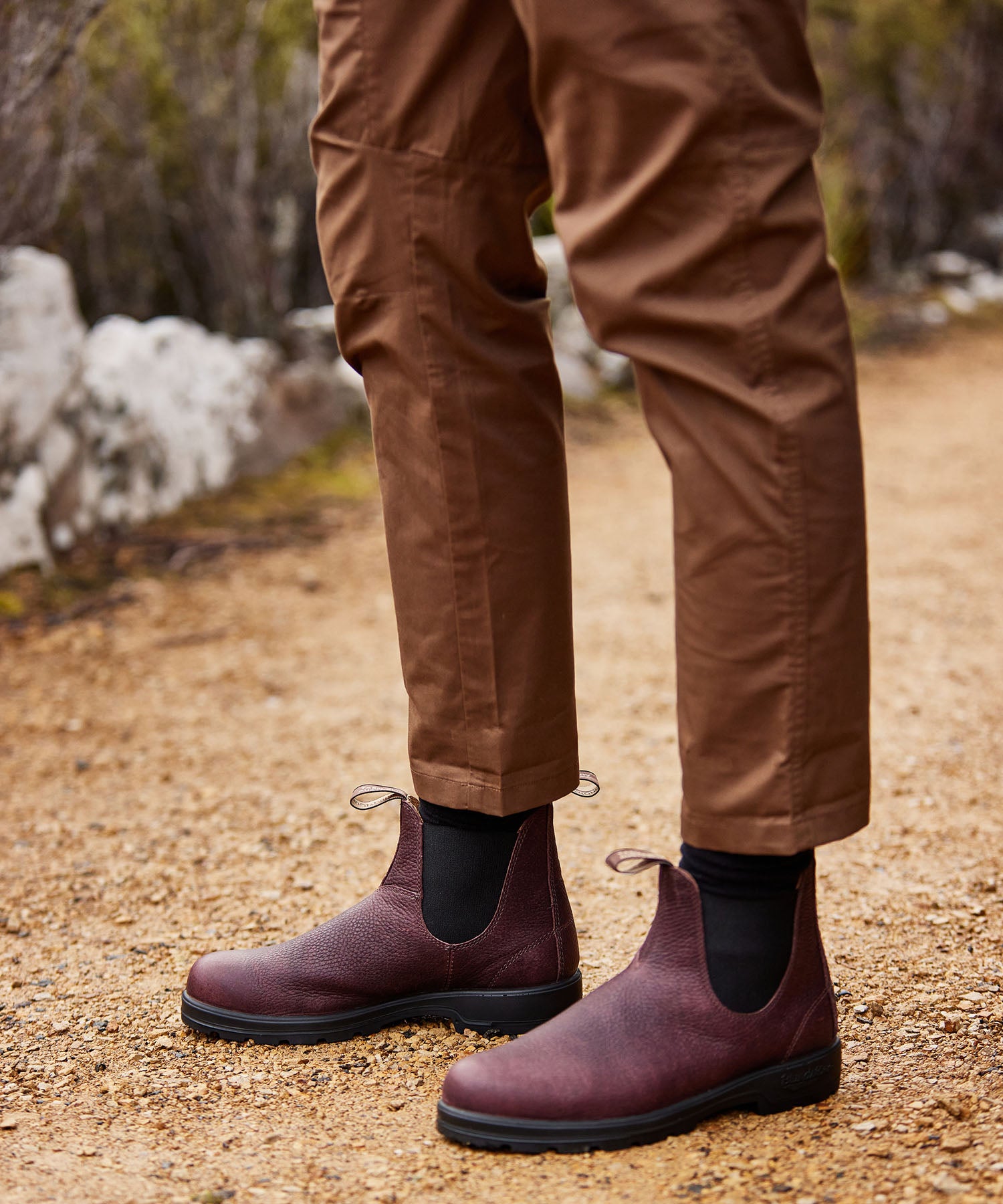 CLASSICS BS2247
