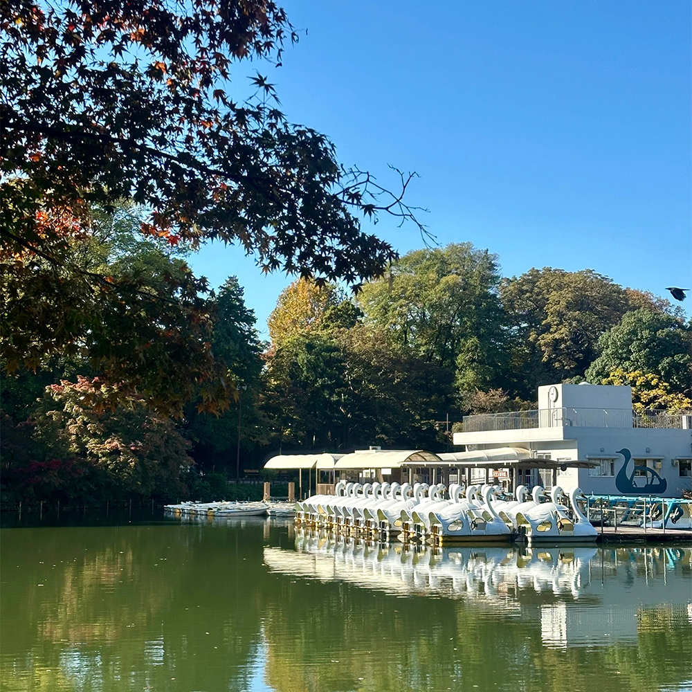 【KARHU】ランニングシューズで公園を走る