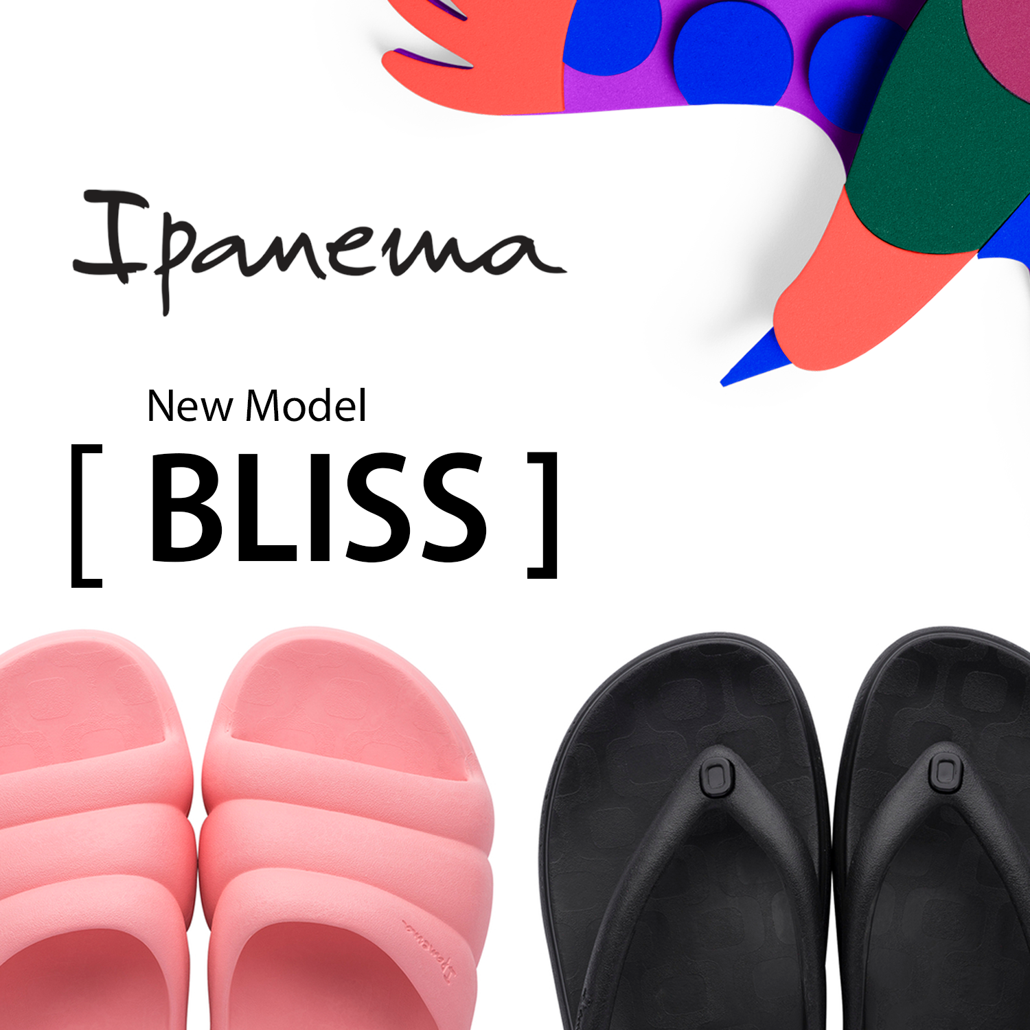 【Ipanema】コンフォートサンダル 「BLISS」が新登場！