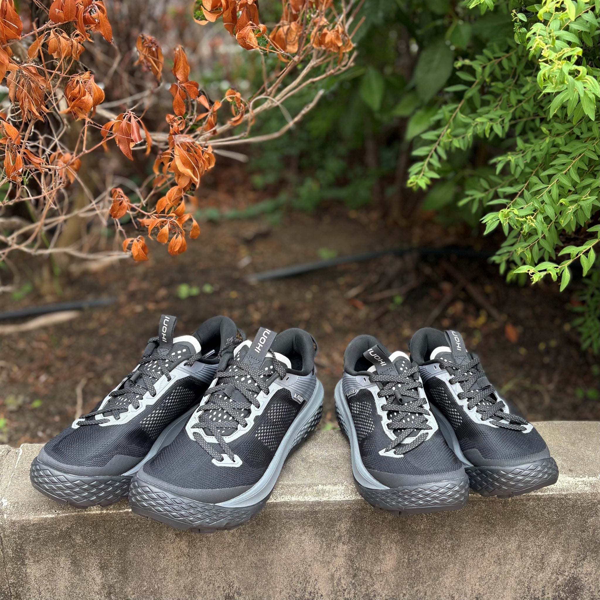 セノバ店【スタッフおすすめスニーカー】