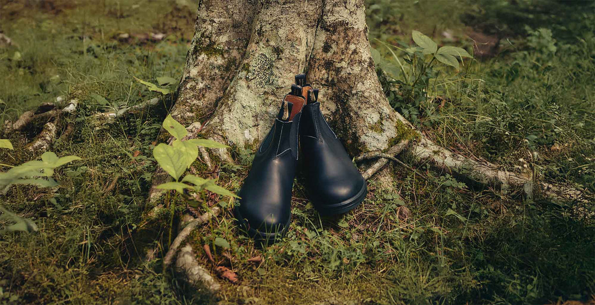Blundstone
