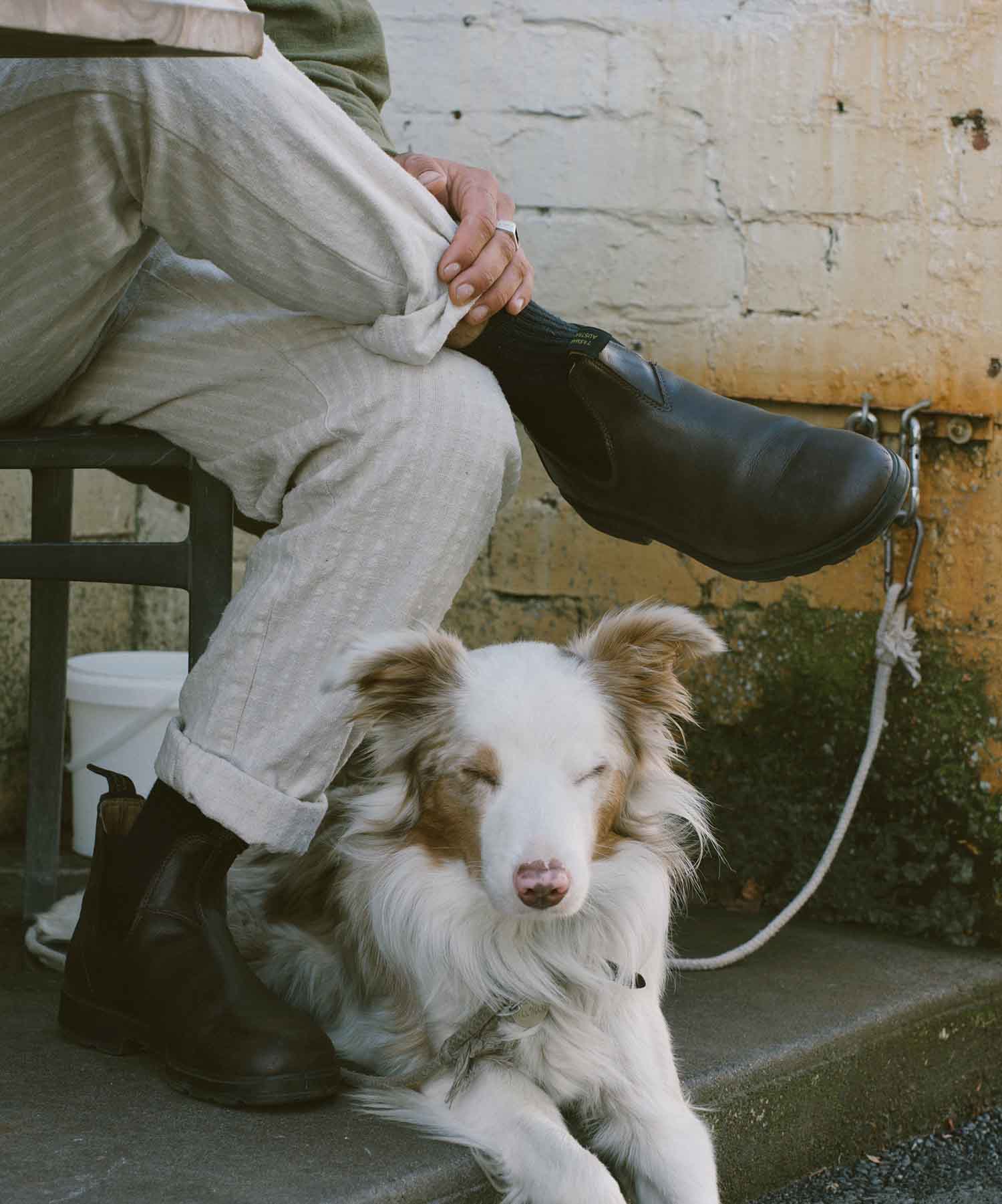 【25%OFF】ORIGINALS VEGAN BS2116