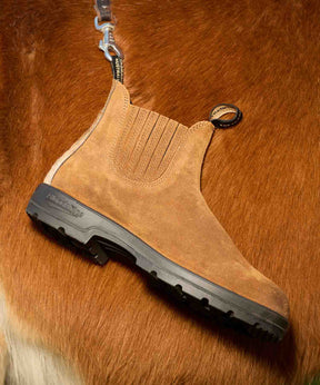 Blundstone & Pop Trading Company【26FW NEW】