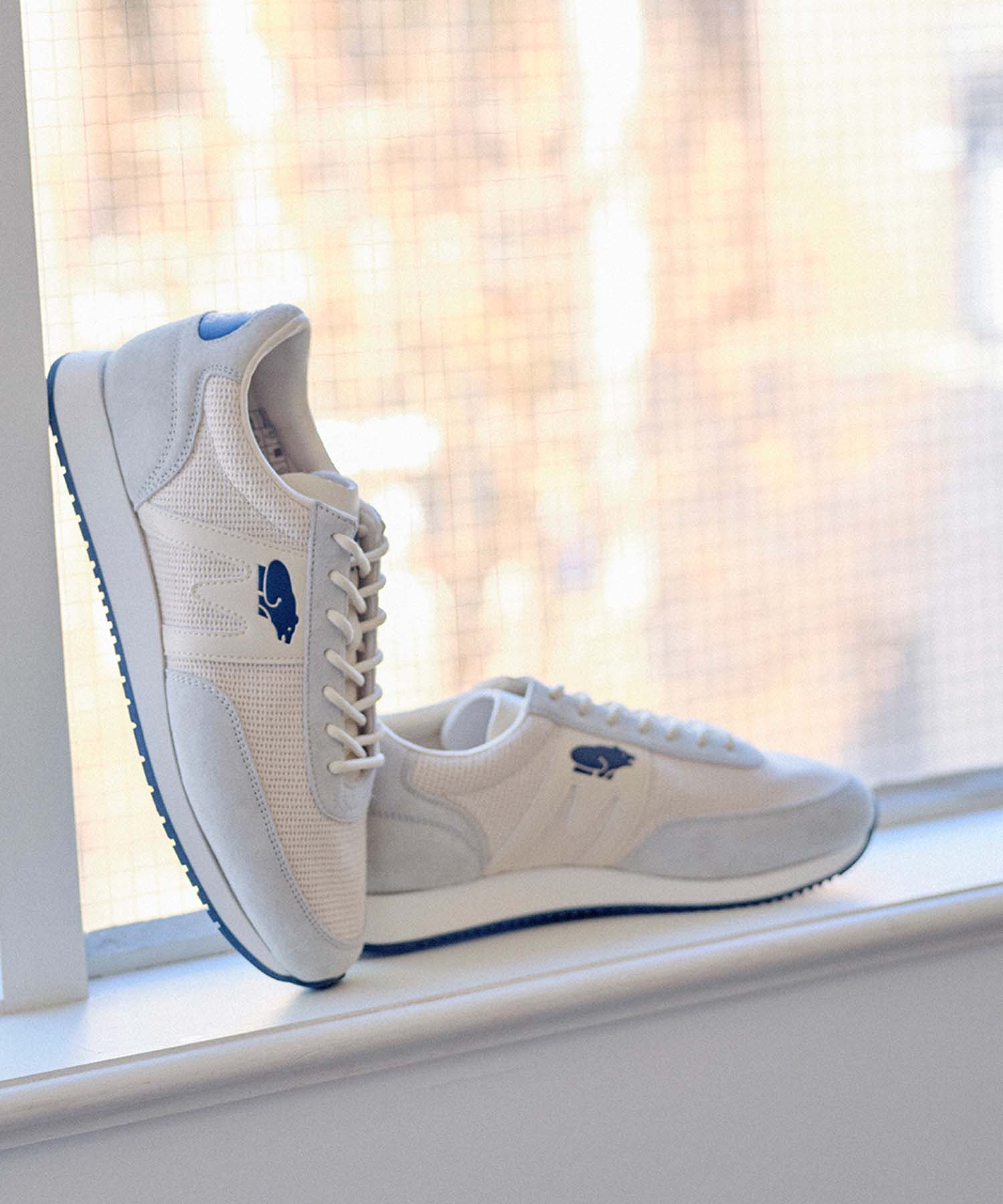 【30%OFF】ALBATROSS 82