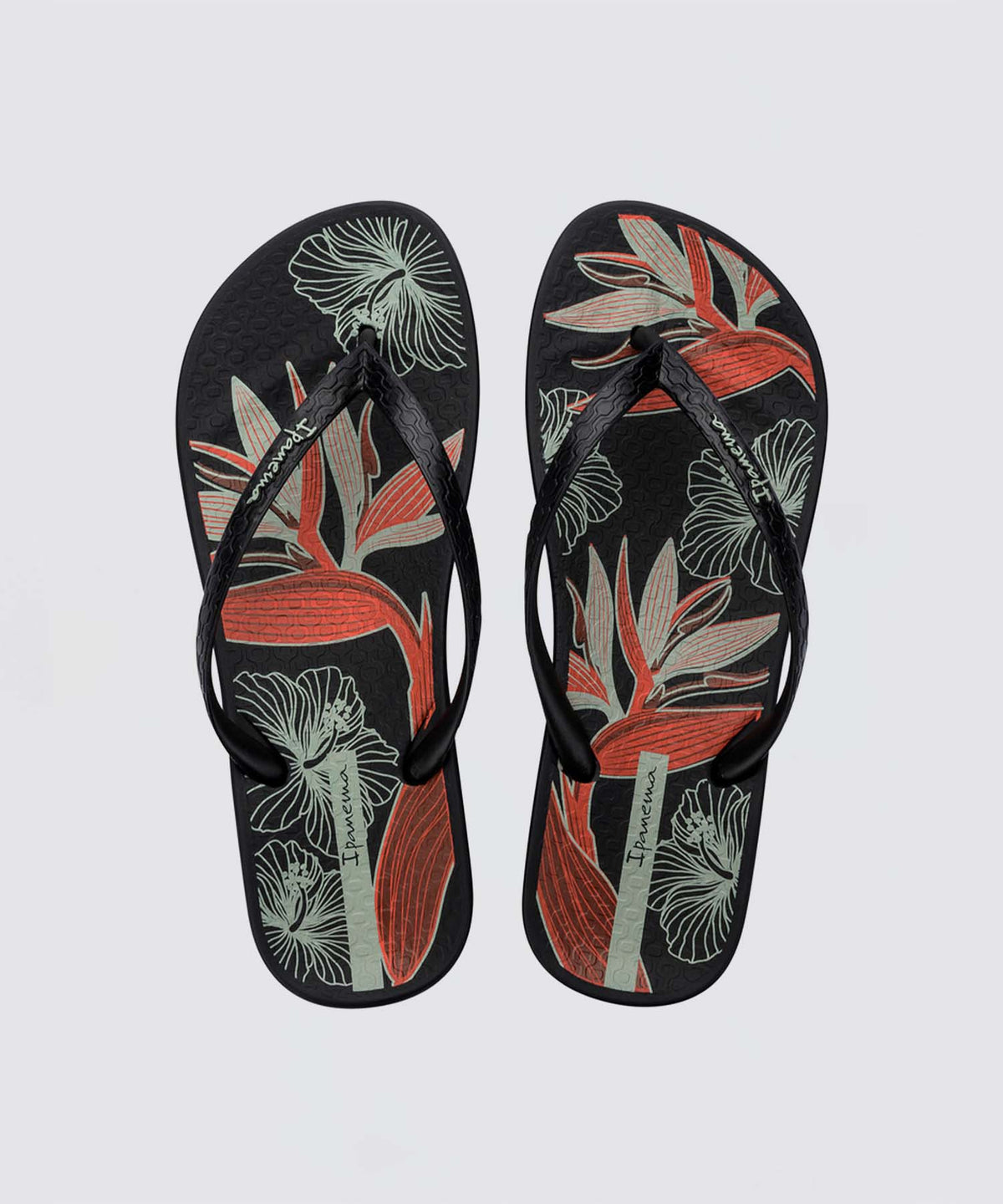 【50%OFF】Ipanema ANAT TEMAS XV