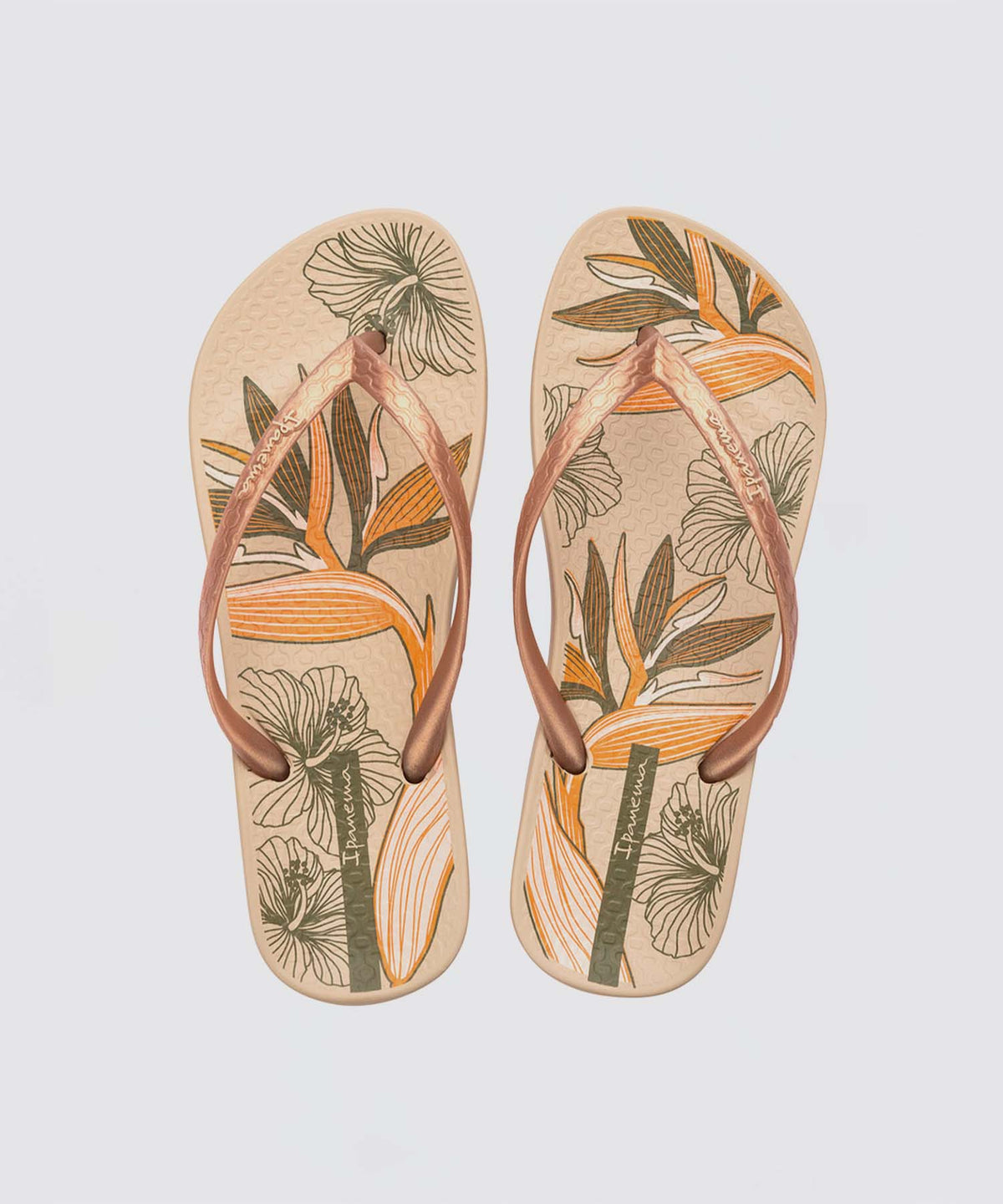 【50%OFF】Ipanema ANAT TEMAS XV