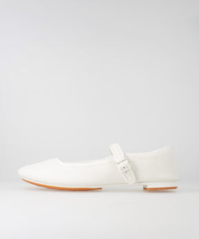 TR-019