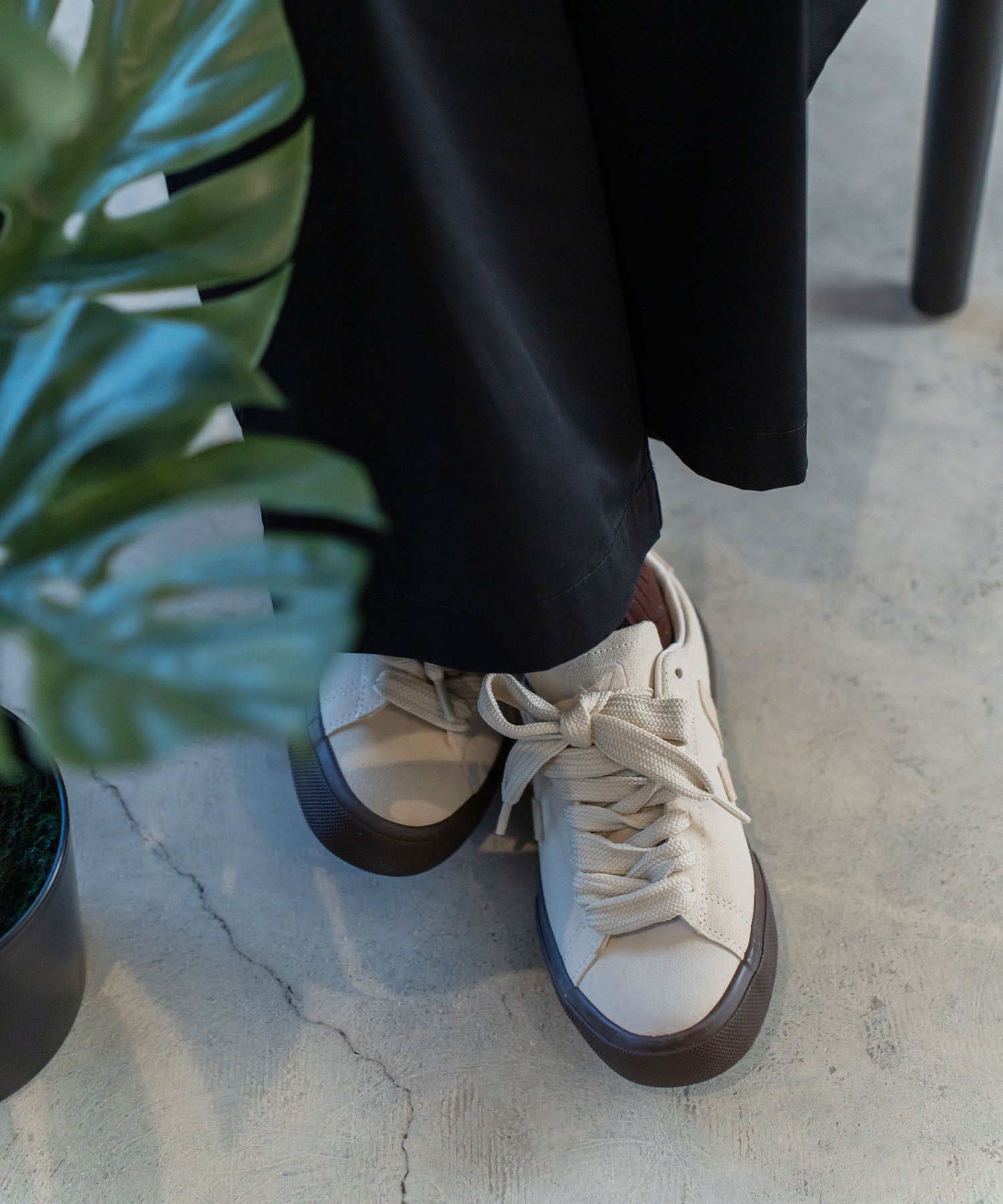 CAMPO BOLD【25FW NEW】