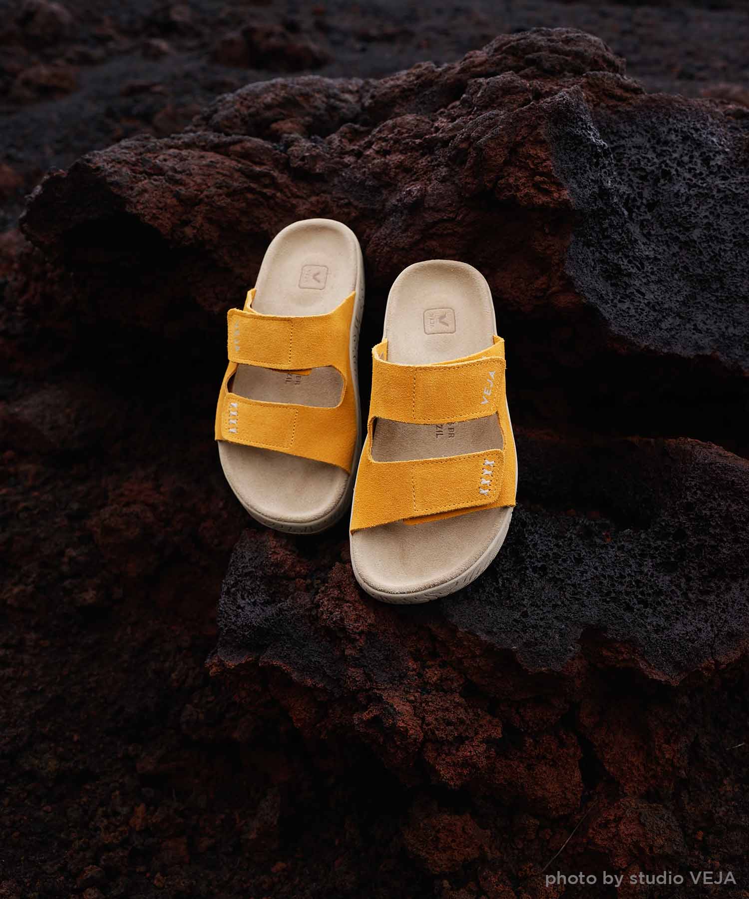 ETNA【25SS NEW】