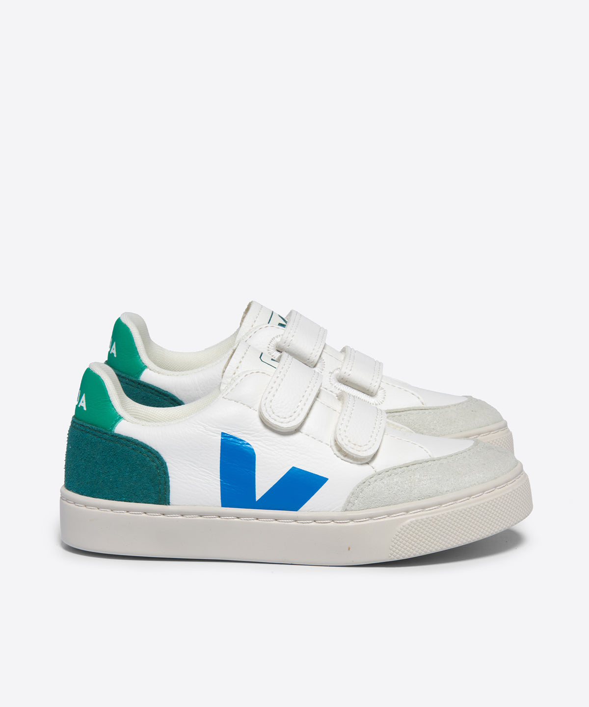 【50％OFF】V-12 JUNIOR