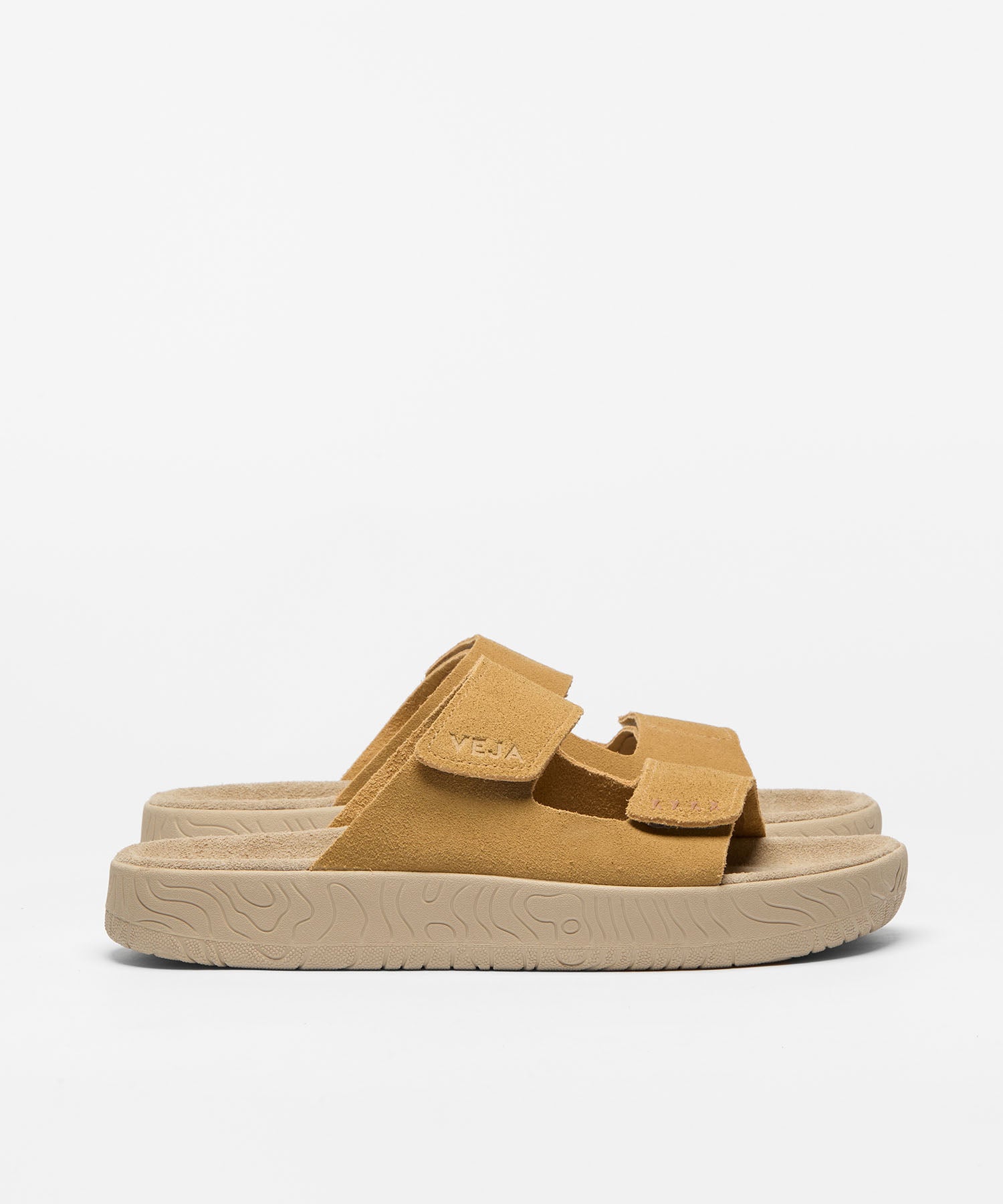 【30%OFF】ETNA