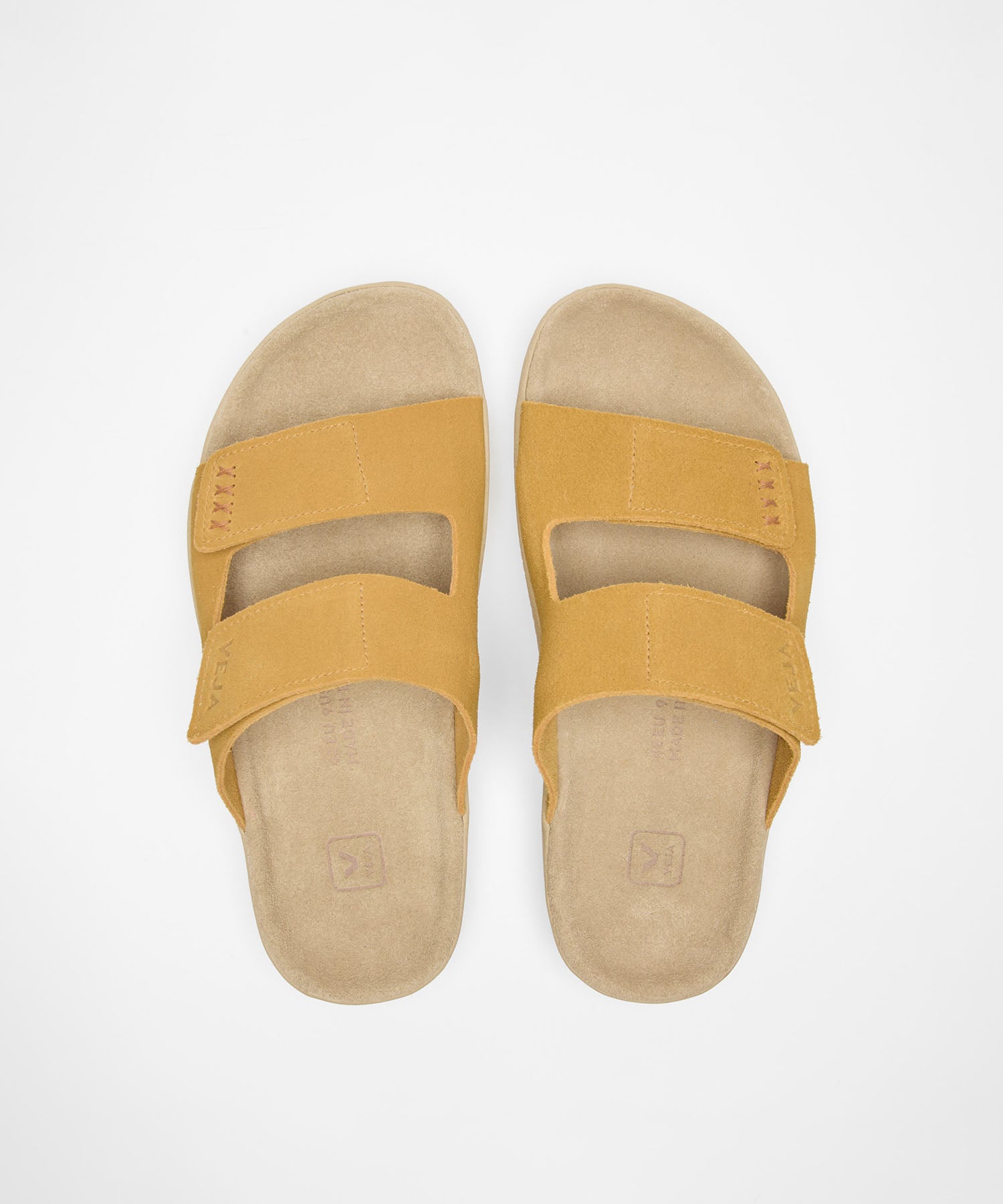 【30%OFF】ETNA