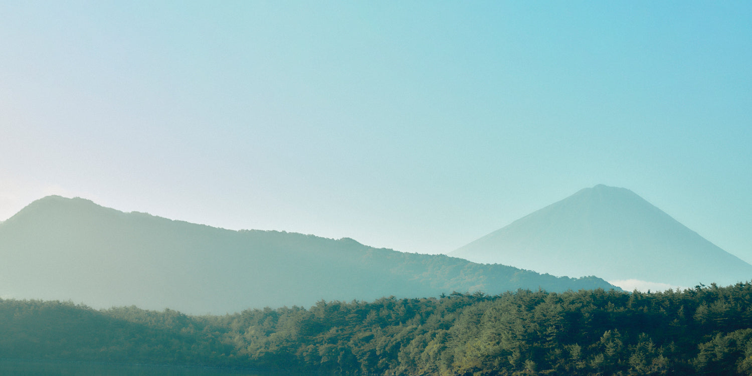 pc.jpg__PID:90fde68a-c2b0-4d07-9ec9-7b581c38df98